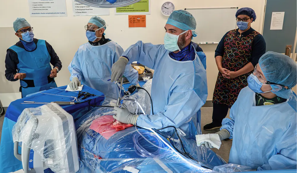 Spine Surgery Whangarei